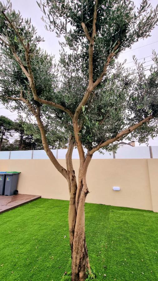 Villas Com Piscina Vila Nova de Gaia Exterior foto